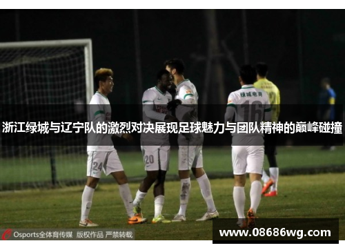 浙江绿城与辽宁队的激烈对决展现足球魅力与团队精神的巅峰碰撞